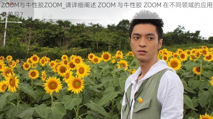 ZOOM与牛性胶ZOOM_请详细阐述 ZOOM 与牛性胶 ZOOM 在不同领域的应用及差异？