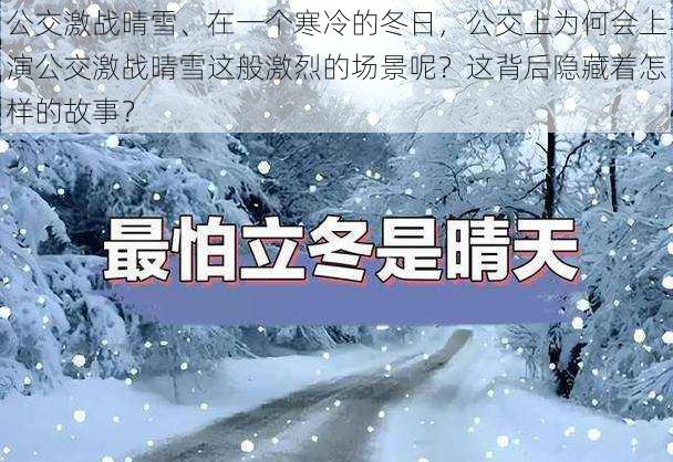 公交激战晴雪、在一个寒冷的冬日，公交上为何会上演公交激战晴雪这般激烈的场景呢？这背后隐藏着怎样的故事？