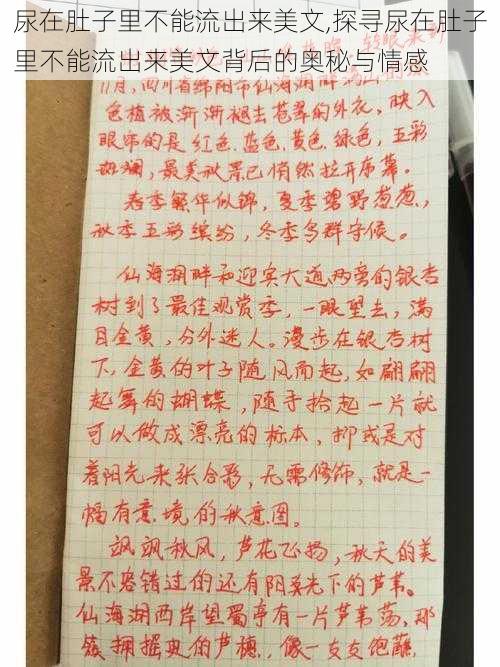 尿在肚子里不能流出来美文,探寻尿在肚子里不能流出来美文背后的奥秘与情感