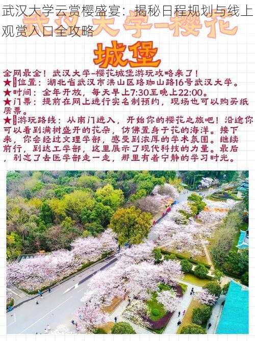 武汉大学云赏樱盛宴：揭秘日程规划与线上观赏入口全攻略