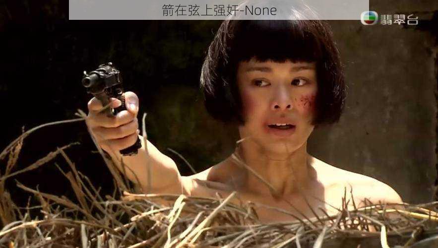 箭在弦上强奸-None