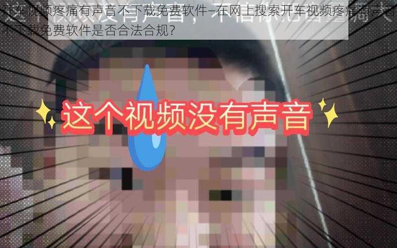 开车视频疼痛有声音不下载免费软件—在网上搜索开车视频疼痛有声音不下载免费软件是否合法合规？