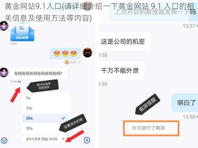 黄金网站9.1入口(请详细介绍一下黄金网站 9.1 入口的相关信息及使用方法等内容)