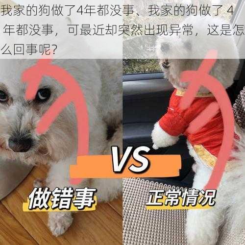 我家的狗做了4年都没事、我家的狗做了 4 年都没事，可最近却突然出现异常，这是怎么回事呢？