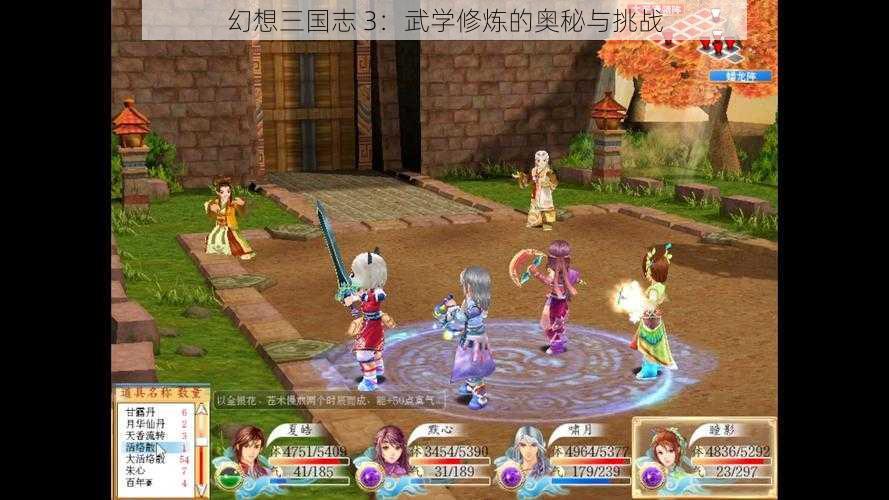 幻想三国志 3：武学修炼的奥秘与挑战