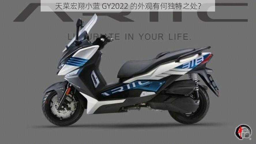 天菜宏翔小蓝 GY2022 的外观有何独特之处？