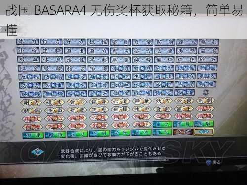 战国 BASARA4 无伤奖杯获取秘籍，简单易懂