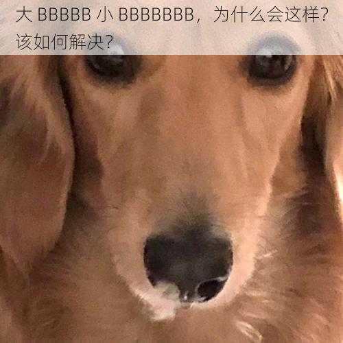 大 BBBBB 小 BBBBBBB，为什么会这样？该如何解决？