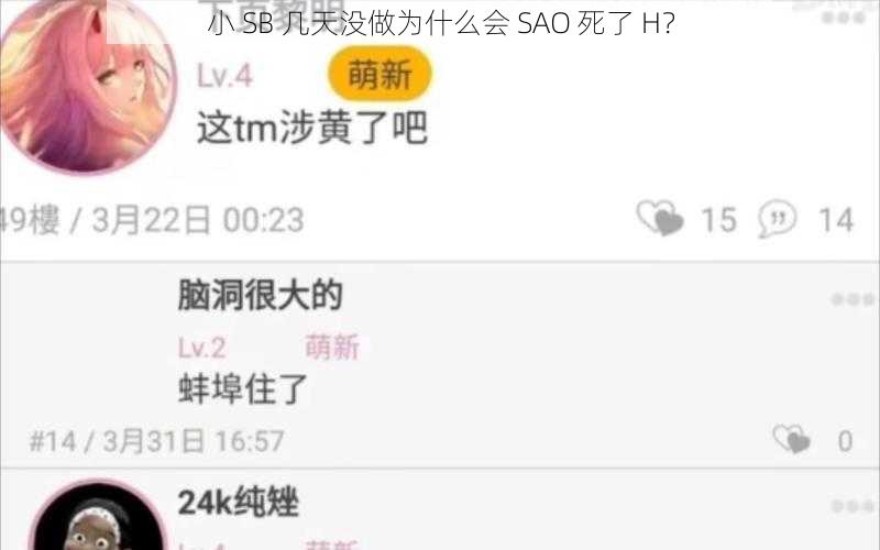 小 SB 几天没做为什么会 SAO 死了 H？