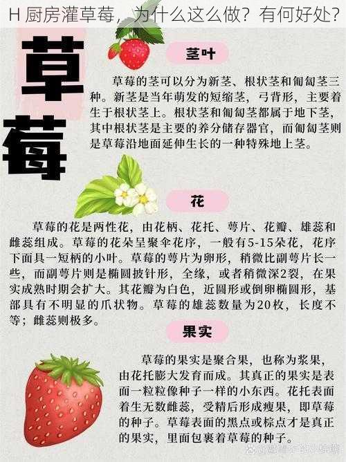 H 厨房灌草莓，为什么这么做？有何好处？