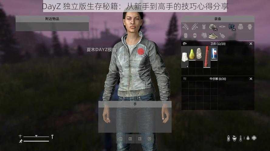 DayZ 独立版生存秘籍：从新手到高手的技巧心得分享