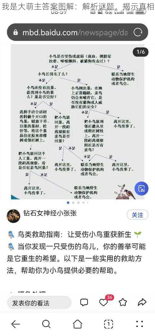 我是大萌主答案图解：解析谜题，揭示真相