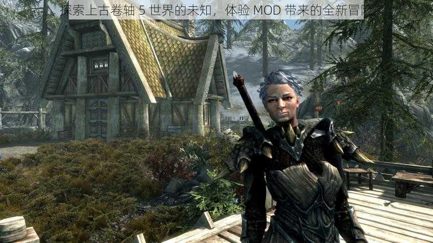 探索上古卷轴 5 世界的未知，体验 MOD 带来的全新冒险