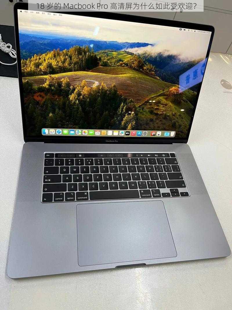 18 岁的 Macbook Pro 高清屏为什么如此受欢迎？