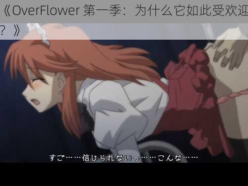 《OverFlower 第一季：为什么它如此受欢迎？》