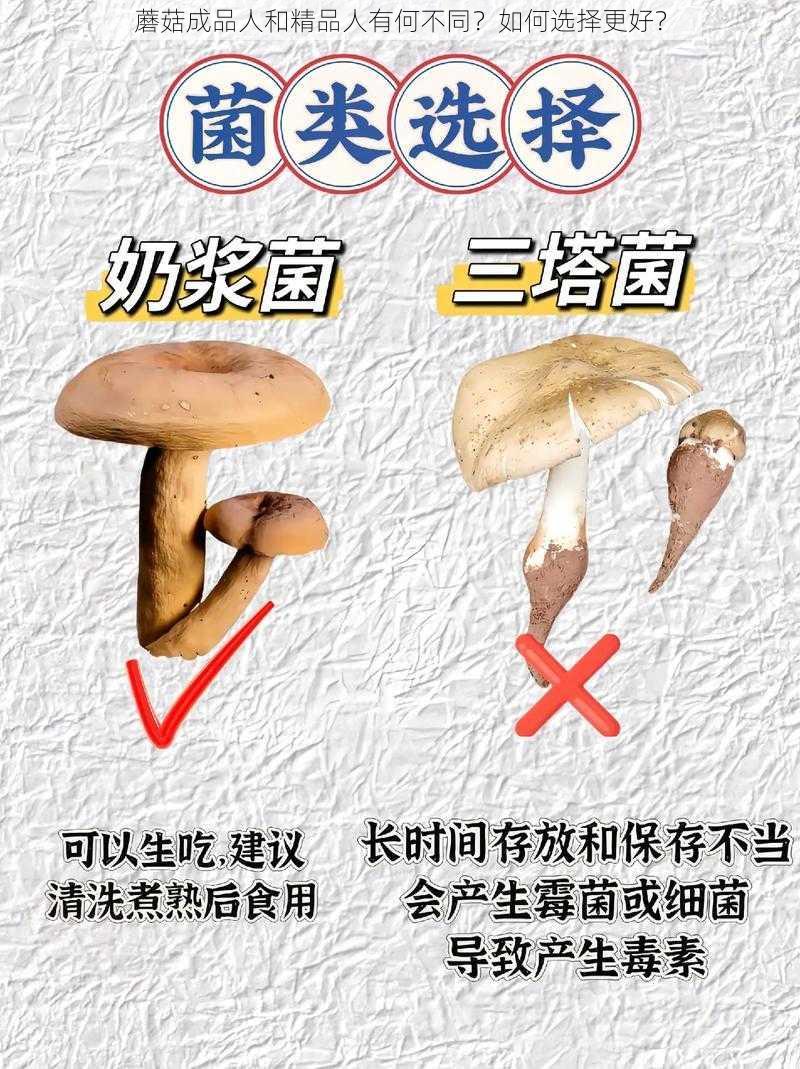 蘑菇成品人和精品人有何不同？如何选择更好？