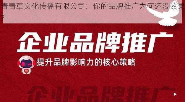 青青草文化传播有限公司：你的品牌推广为何还没效果？