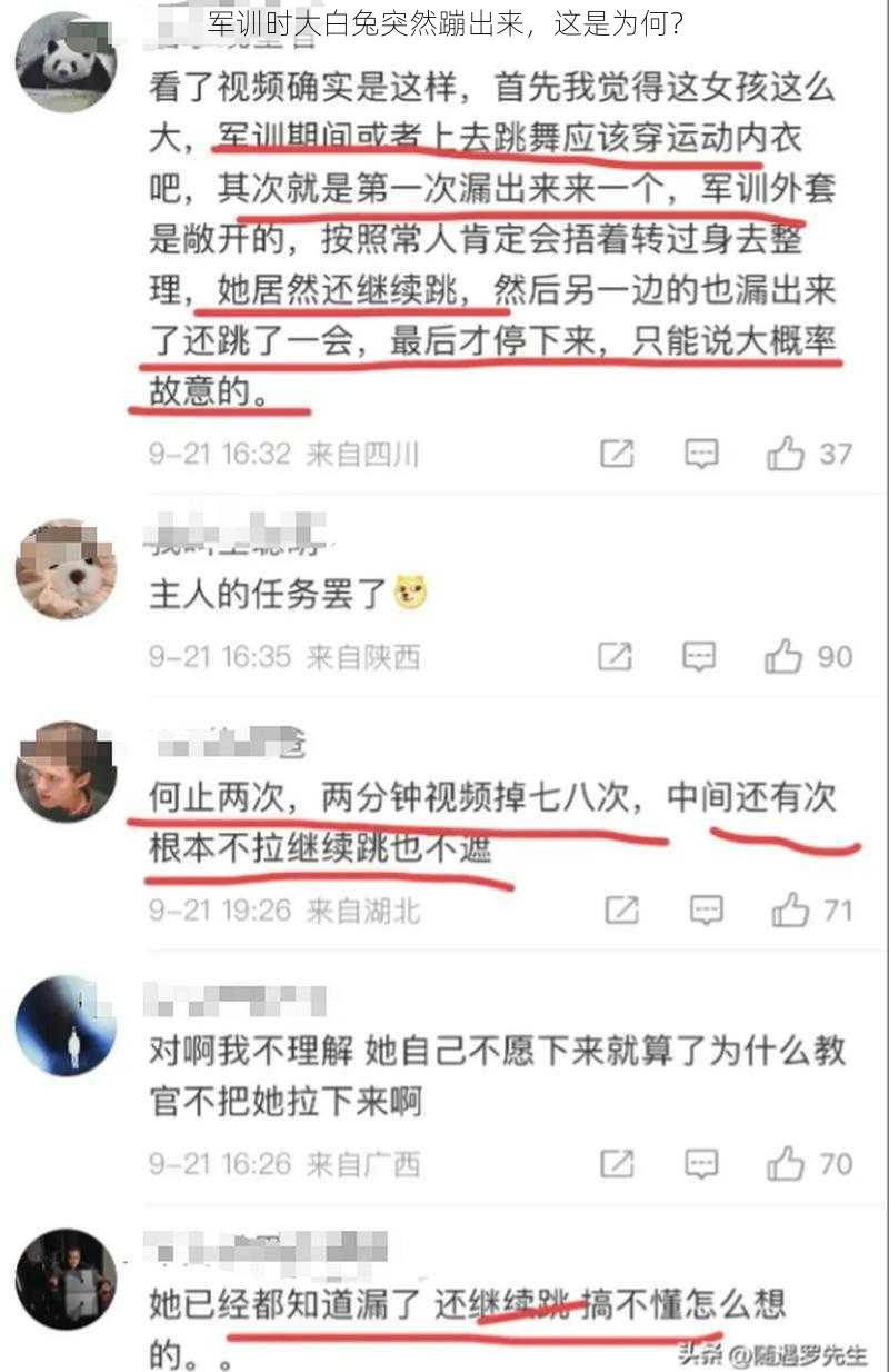 军训时大白兔突然蹦出来，这是为何？