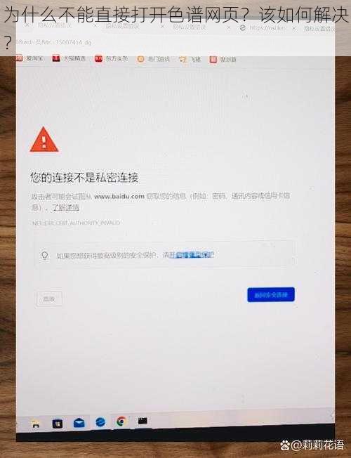 为什么不能直接打开色谱网页？该如何解决？