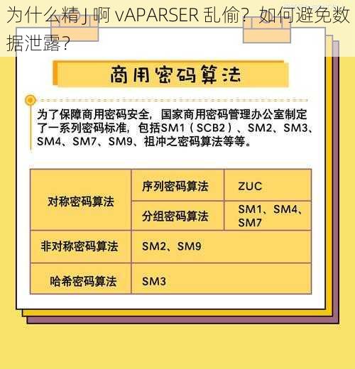 为什么精 J 啊 vAPARSER 乱偷？如何避免数据泄露？