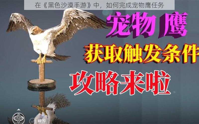 在《黑色沙漠手游》中，如何完成宠物鹰任务