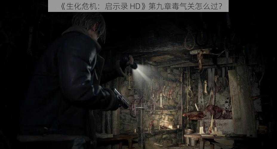 《生化危机：启示录 HD》第九章毒气关怎么过？