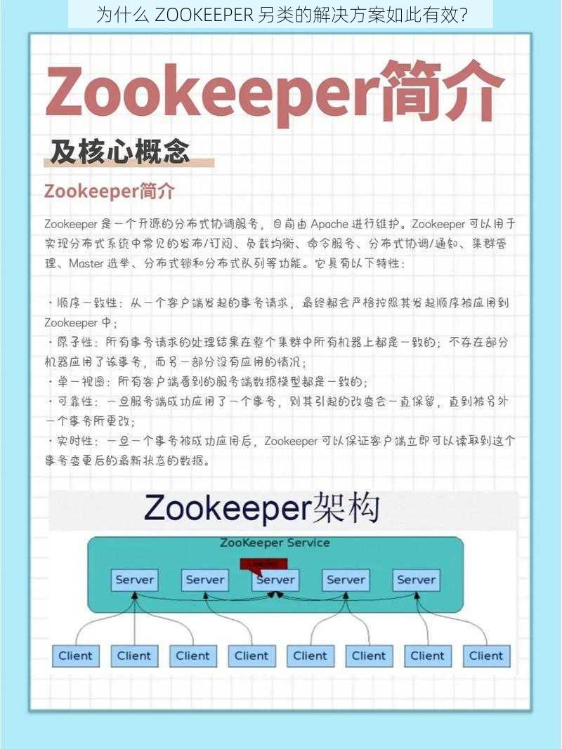 为什么 ZOOKEEPER 另类的解决方案如此有效？