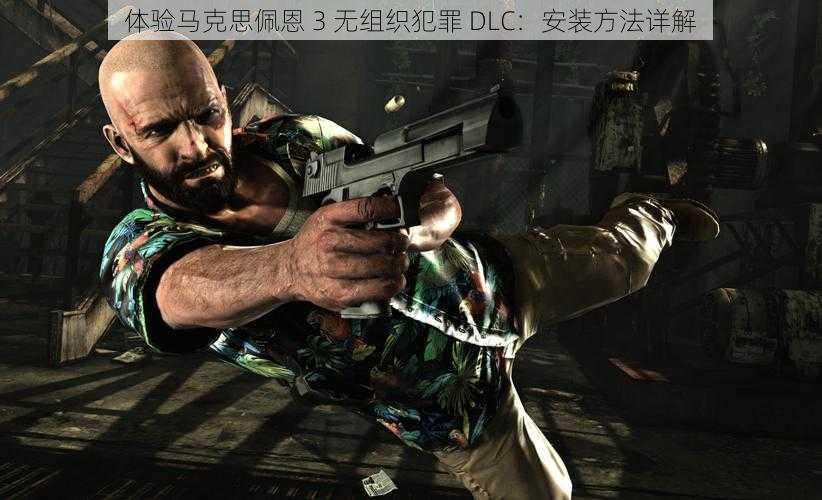 体验马克思佩恩 3 无组织犯罪 DLC：安装方法详解