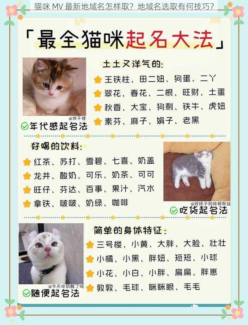 猫咪 MV 最新地域名怎样取？地域名选取有何技巧？