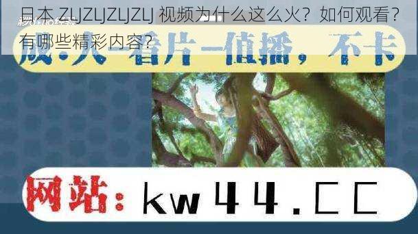 日本 ZLJZLJZLJZLJ 视频为什么这么火？如何观看？有哪些精彩内容？