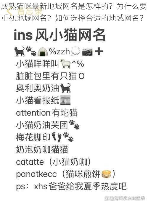 成熟猫咪最新地域网名是怎样的？为什么要重视地域网名？如何选择合适的地域网名？