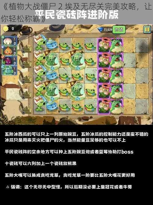 《植物大战僵尸 2 埃及无尽关完美攻略，让你轻松称霸》