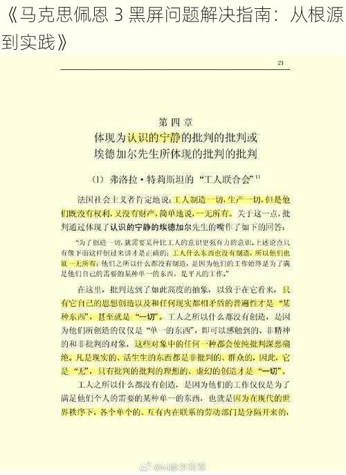 《马克思佩恩 3 黑屏问题解决指南：从根源到实践》