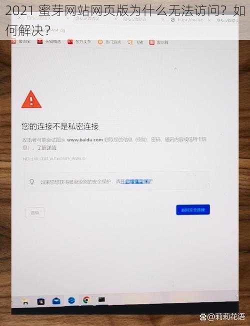 2021 蜜芽网站网页版为什么无法访问？如何解决？