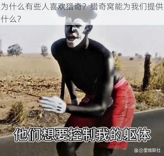 为什么有些人喜欢猎奇？猎奇窝能为我们提供什么？