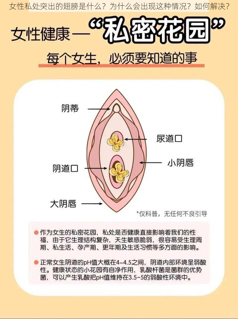 女性私处突出的翅膀是什么？为什么会出现这种情况？如何解决？