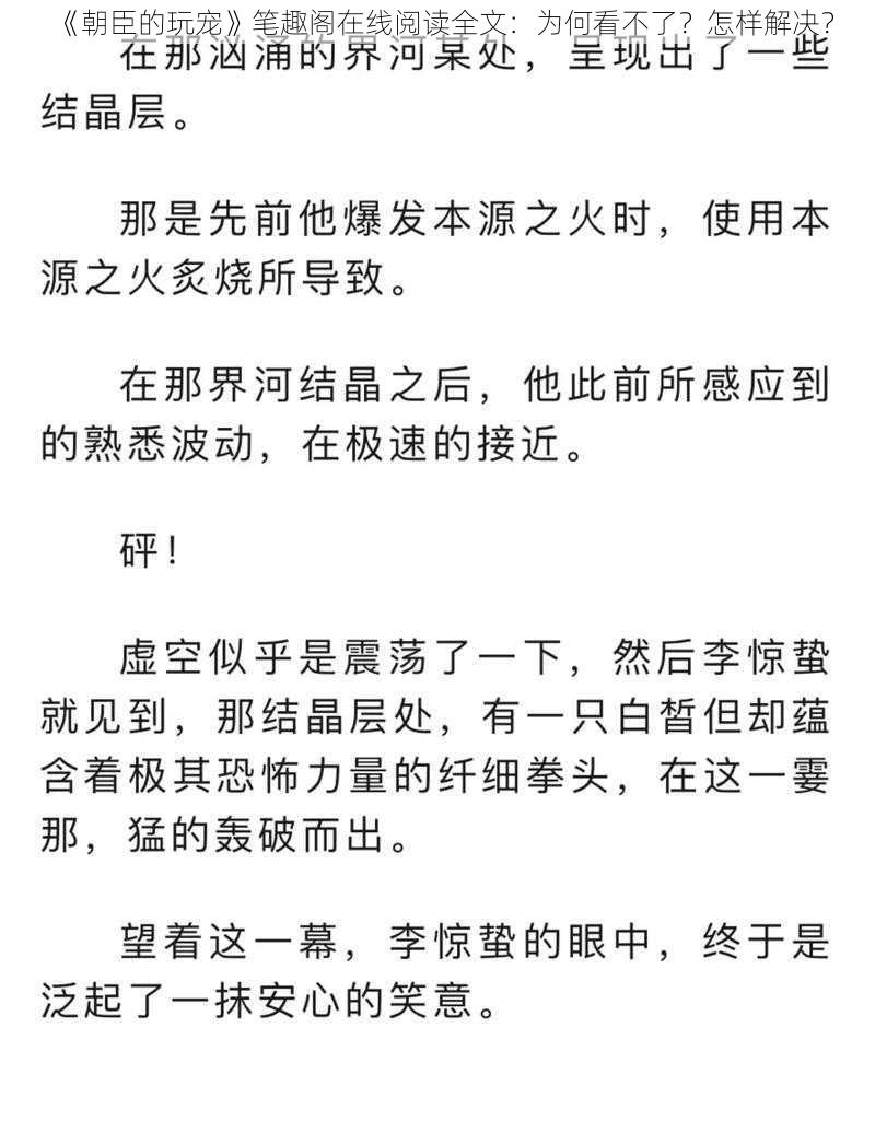 《朝臣的玩宠》笔趣阁在线阅读全文：为何看不了？怎样解决？