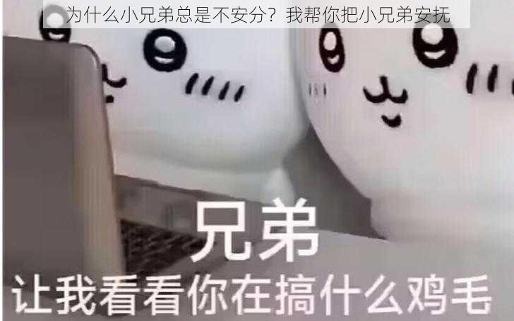 为什么小兄弟总是不安分？我帮你把小兄弟安抚