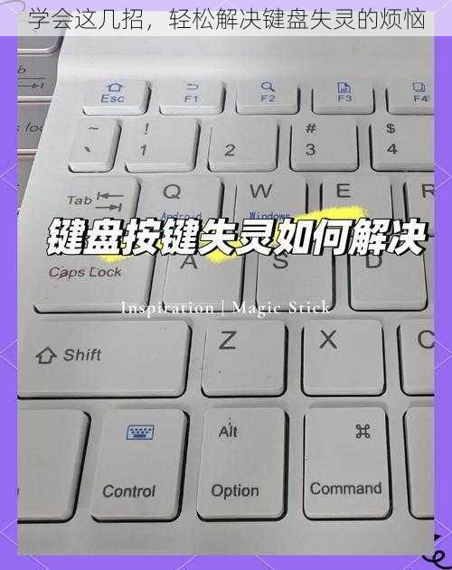 学会这几招，轻松解决键盘失灵的烦恼