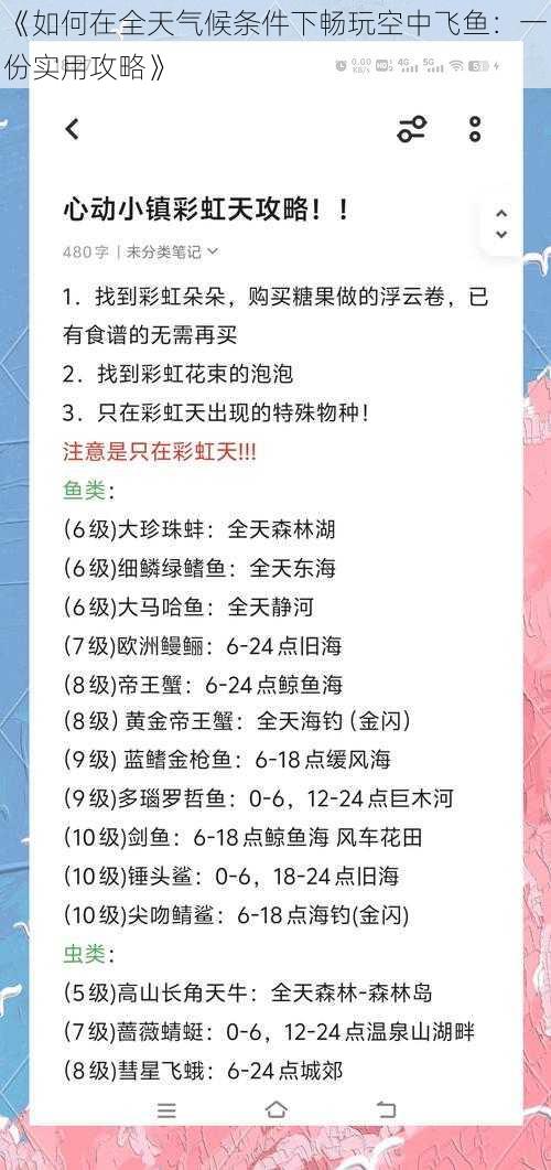 《如何在全天气候条件下畅玩空中飞鱼：一份实用攻略》