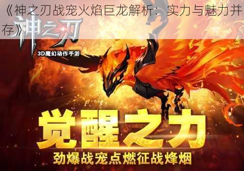 《神之刃战宠火焰巨龙解析：实力与魅力并存》