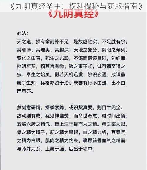 《九阴真经圣主：权利揭秘与获取指南》